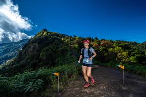 BIB: 1203
                            <button type="button" onclick="openModal(19035620)" class="btn btn-primary btn-sm float-right btn-popup" data-toggle="modal" data-target=".modal-high-quality">
                        <i class="fas fa-shopping-cart"></i> Add to Cart
                    </button>
                                            <button type="button" onclick="isThisMe(19035620, true)" class="btn btn-success btn-sm float-right btn-popup btn-isme hidden" data-toggle="tooltip" data-placement="bottom" title="นี่คือรูปของคุณใช่ไหม คลิกที่นี่เพื่อเอาเข้าอัลบั้ม">
                        <i class="fas fa-plus"></i> Add to album
                    </button>
                    <button type="button" onclick="isThisMe(19035620, false)" class="btn btn-warning btn-sm float-right btn-popup btn-isnotme hidden">
                        <i class="fas fa-ban"></i> Remove from album
                    </button>